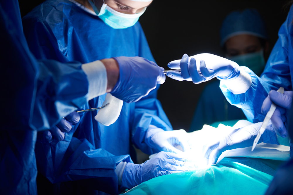 Crystal Vet Clinic Veterinary Surgery