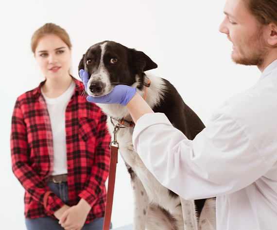 What to Expect Before the Procedure
