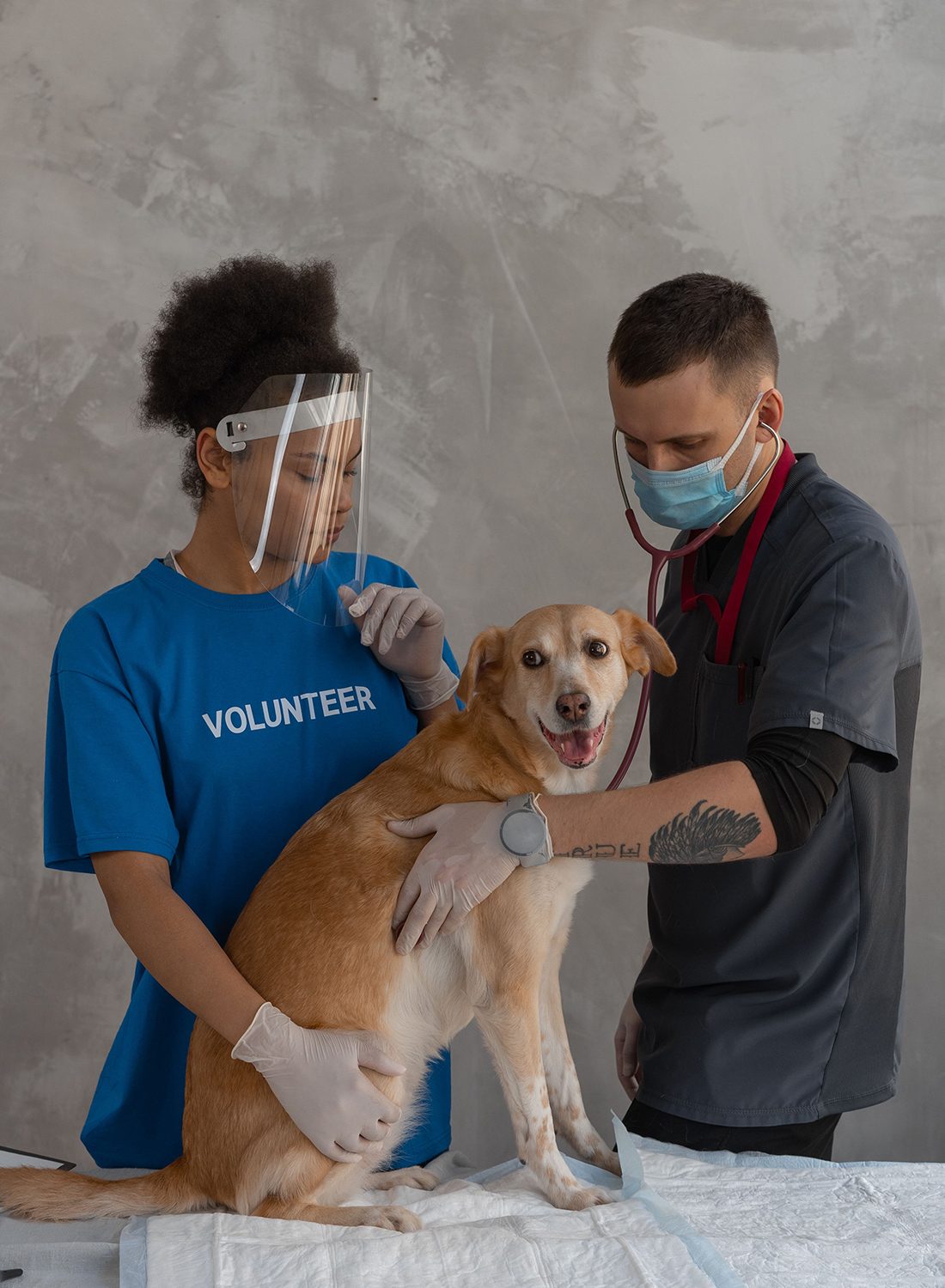 Protect Your Pet with Essential Vaccinations