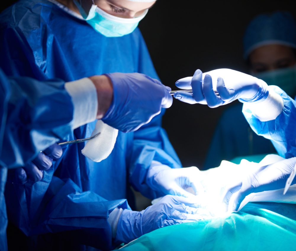 Crystal Vet Clinic Veterinary Surgery