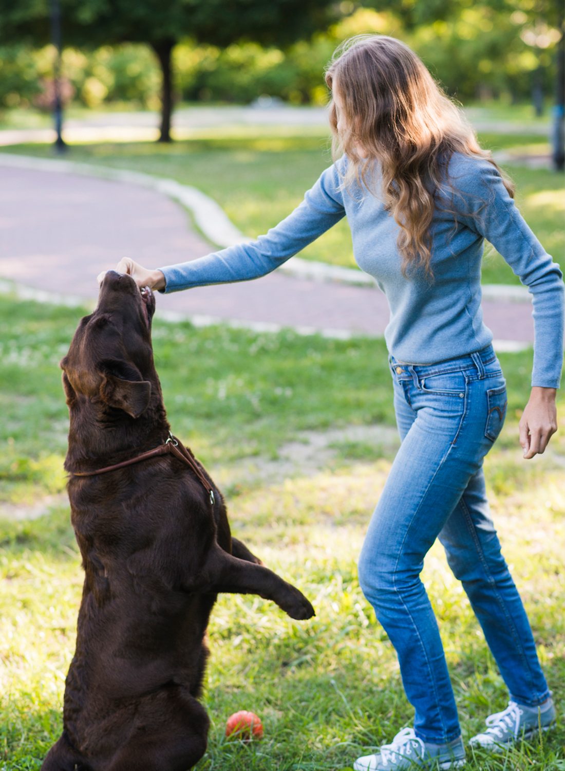 woman-putting-her-hand-dog-s-mouth-Veterinary-for-Your-Pet in-AbuDhabi
